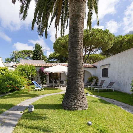 Villetta Con Giardino Esclusivo Di 1000 Mq, Piscina, Tennis, Calcio, Bocce Forio  ภายนอก รูปภาพ