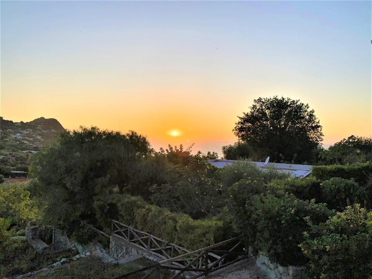 Villetta Con Giardino Esclusivo Di 1000 Mq, Piscina, Tennis, Calcio, Bocce Forio  ภายนอก รูปภาพ