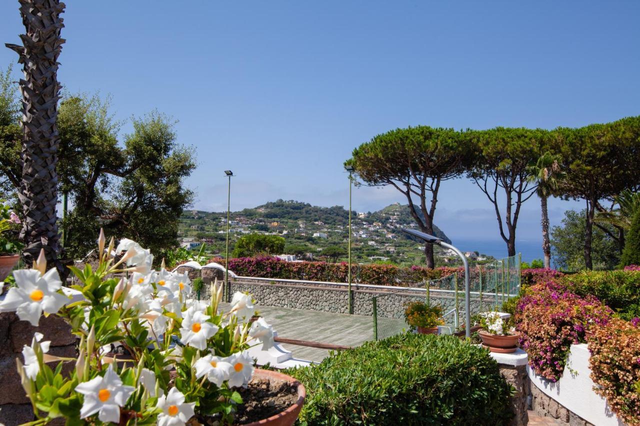 Villetta Con Giardino Esclusivo Di 1000 Mq, Piscina, Tennis, Calcio, Bocce Forio  ภายนอก รูปภาพ