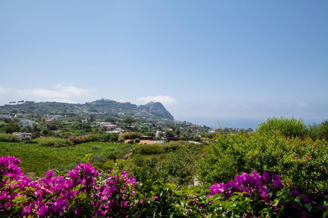 Villetta Con Giardino Esclusivo Di 1000 Mq, Piscina, Tennis, Calcio, Bocce Forio  ภายนอก รูปภาพ
