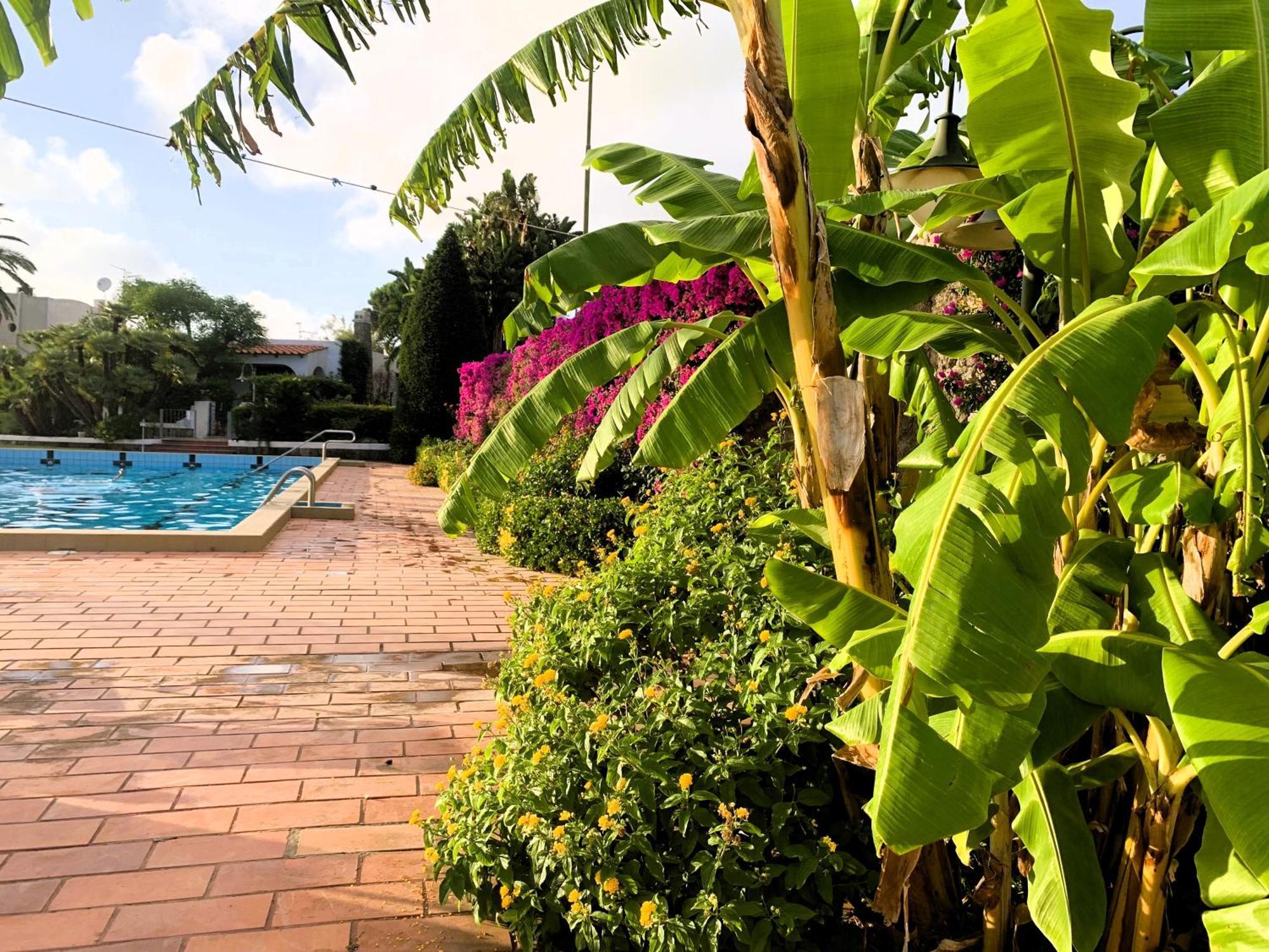 Villetta Con Giardino Esclusivo Di 1000 Mq, Piscina, Tennis, Calcio, Bocce Forio  ภายนอก รูปภาพ
