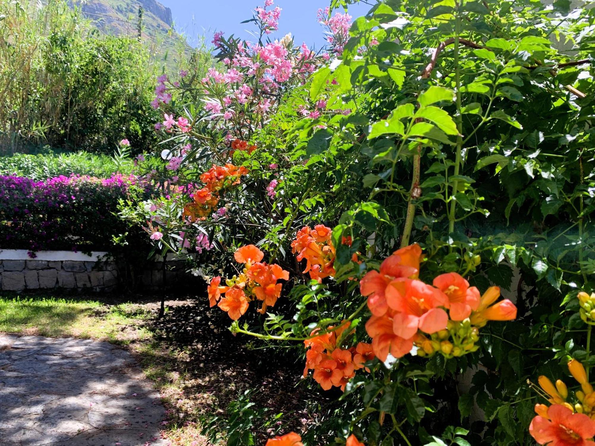 Villetta Con Giardino Esclusivo Di 1000 Mq, Piscina, Tennis, Calcio, Bocce Forio  ภายนอก รูปภาพ