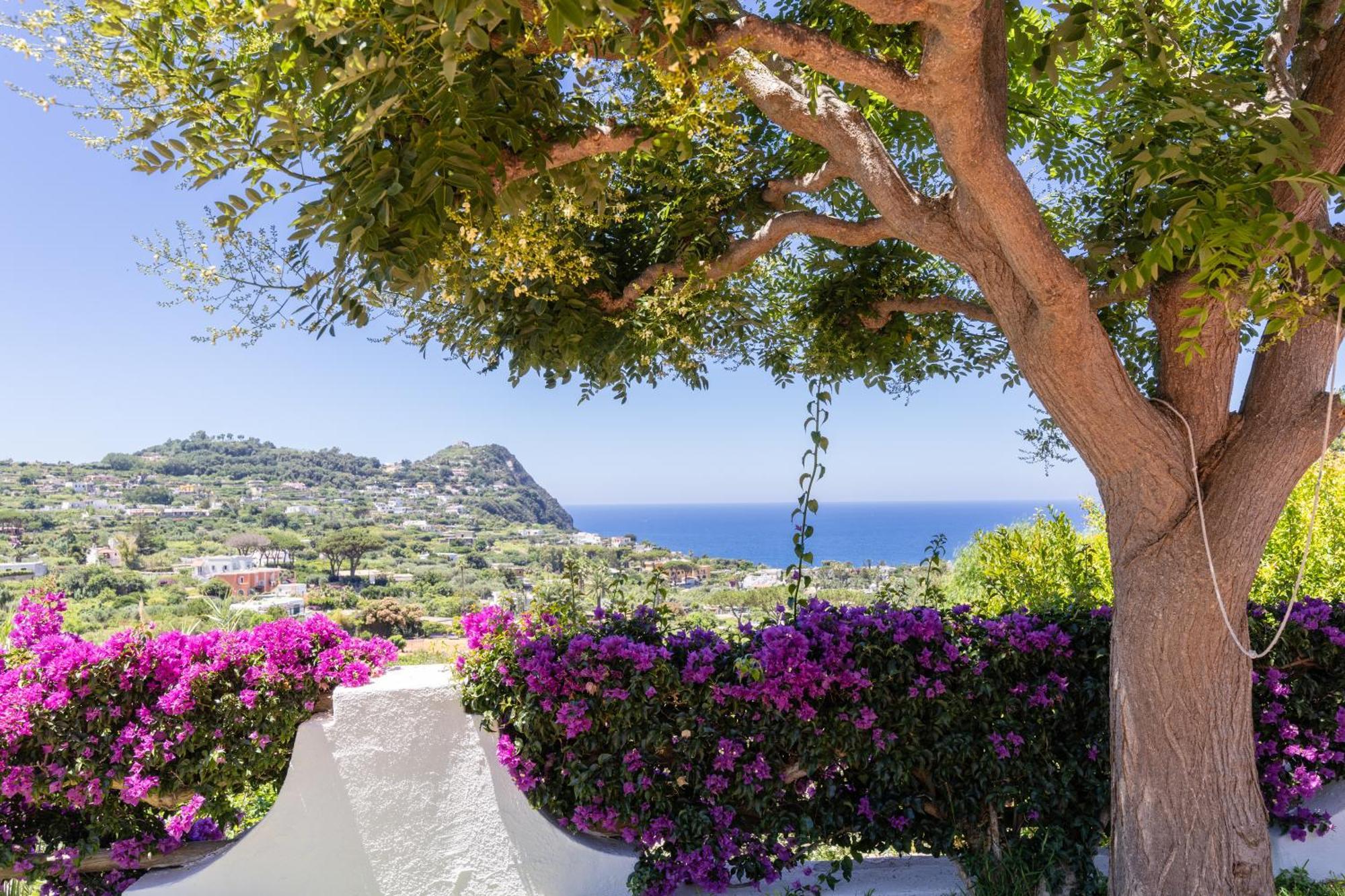 Villetta Con Giardino Esclusivo Di 1000 Mq, Piscina, Tennis, Calcio, Bocce Forio  ภายนอก รูปภาพ