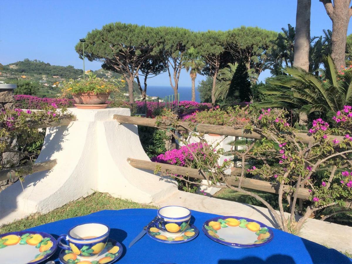 Villetta Con Giardino Esclusivo Di 1000 Mq, Piscina, Tennis, Calcio, Bocce Forio  ภายนอก รูปภาพ